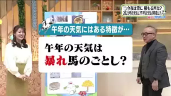 2026年の天気は「暴れ馬」！？　過去には記録的な台風や大雪被害も　気象予報士が解説