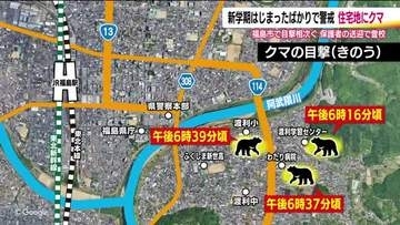 30分間に4件　福島市渡利の住宅地で相次いだクマの目撃　小学生は保護者の車で警戒しながら登校