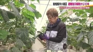 それぞれの新たな一歩　避難指示解除から10年の南相馬市小高区　帰還率3割　復興の現在地