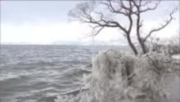福島・猪苗代湖に冬の風物詩「しぶき氷」　湖岸の水しぶきが創る自然の芸術　2月に見ごろに