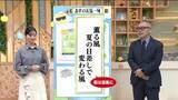 「【福島県・5月15日の天気】五月晴れモードに突入　週末は初の真夏日予報　五月熱中症にご用心」の画像1