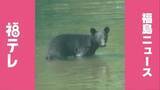 「【熊出没】8月29日（土）・30日（日）福島県　週末のクマ目撃情報」の画像1