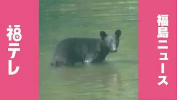 【熊出没】8月29日（土）・30日（日）福島県　週末のクマ目撃情報