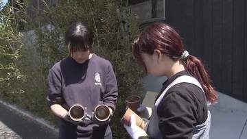 「一度崩壊した産地をまた何百年と続けるため」福島・浪江町の大堀相馬焼　9代目が未来を託した“輝く星”の挑戦