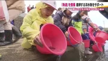 常夏川の魚道が完成…かつての生態系を取り戻すために　地元の小学生がウグイの稚魚を放流　福島・郡山市