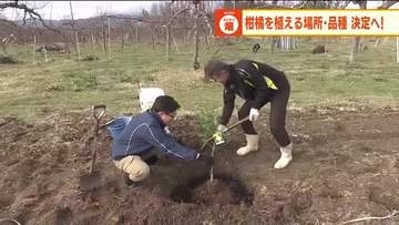 本格始動！東北・福島市での柑橘栽培　畑の整備と果樹選び　温暖化を逆手に柑橘の北限目指す