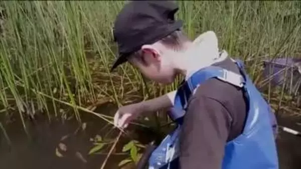 夏空戻った福島県　猪苗代湖では子供たちが生き物探索　北塩原村には旅する蝶　自由研究にもぴったり
