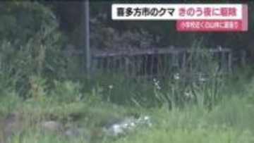 喜多方市の山林に居座ったクマ　15日夜に駆除