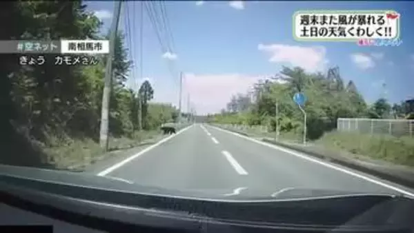 【福島県・5月6日の天気】連休最終日もクマに注意　今年の梅雨から夏にかけての天気傾向
