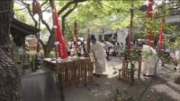 重さ175kgの特大まんじゅう登場！　恒例の“まんじゅう祭り”開催＜福島県郡山市＞