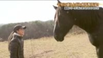 【福島と馬】相馬野馬追　時代と共に変化…女性騎馬武者がつなぐ伝統文化　人馬一体の魅力を後世に