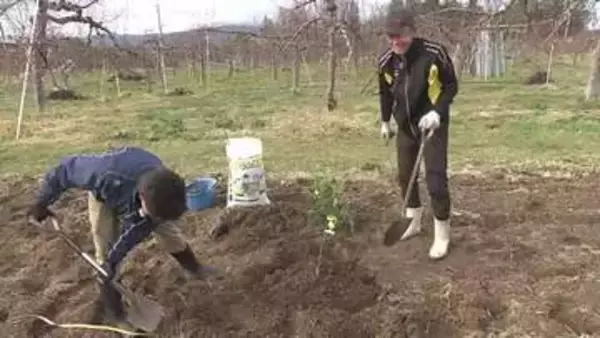 温暖化はピンチかチャンスか　福島のリンゴ畑が柑橘畑に…気象予報士と農家がタッグで挑む東北での柑橘栽培