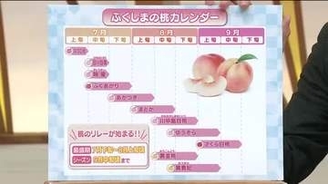福島県に桃の季節到来！出荷リレーで9月中旬まで様々な品種が楽しめる　キャンペーンクルーも全国にPR