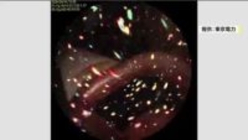 一定の燃料デブリが残っている可能性　福島第一原発2号機　原子炉本体・圧力容器の内部