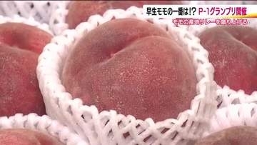 早生モモの一番を決める『P-1グランプリ』　一桃賞は糖度16度！平井さんの「ふくあかり」　【福島発】