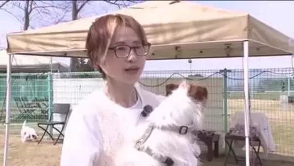 犬と暮らす幸せを伝えたい　44歳から始めた動画配信　ドッグトレーナー・渡邉ひかりさんの新たな挑戦