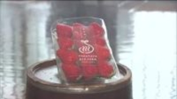 温泉熱を活用してイチゴ栽培　原油価格高騰も燃料代は最小限に　福島・石川町の老舗温泉旅館