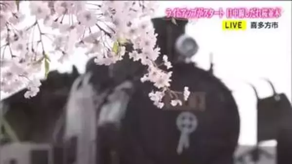 ＳＬと桜のコラボ　福島・喜多方市『日中線しだれ桜並木』　開花に合わせてイベントも