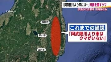「阿武隈川より東にはクマがいない」常識が覆される事態　専門家は「分布域が爆発的に拡大」と警戒呼びかけ