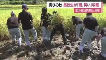 福島県のトップブランド米・福、笑い　地元の高校生が稲刈り「難しい作業だけど楽しい体験」