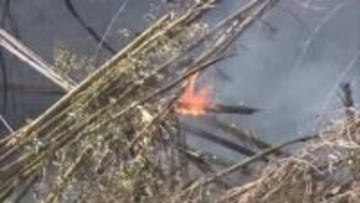 福島・いわき市常磐藤原町の雑木林で火事　近くの小学校では保護者に児童の迎えを呼び掛け