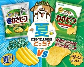 夏限定フレーバー「ポテトチップス 夏限定！塩わさビーフ」が新登場！ 7月13日よりコンビニで期間限定発売