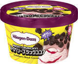 「「ザク硬」食感で噛み砕く楽しさ、ハーゲンダッツ「ストロベリーブラックココア」と「ソルティハニーバター」3月10日発売」の画像1