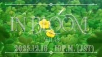 「薬屋のひとりごと」第2期第1クールOP「百花繚乱」の英語Ver「In Bloom」アニメMVが本日22時よりプレミアム公開！これまでの「薬屋」の物語、キャラクターたちをアニメ映像とともに振り返る