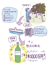 超高級ワイン vs. 500円ワイン…「衝撃の価格差」はどこから生まれる？“安くてもハズレないワイン選び”のコツも紹介【ワインスペシャリスト監修】