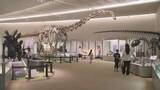 「等身大の恐竜や日本初の化石など大集合　群馬・富岡市　県立自然史博物館」の画像1