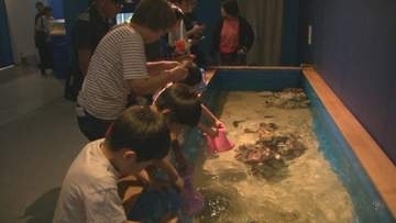 夏休み　海の生き物の生態学ぶ　群馬・前橋市