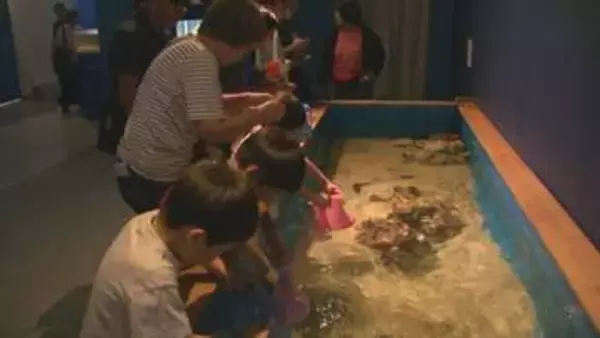 夏休み　海の生き物の生態学ぶ　群馬・前橋市