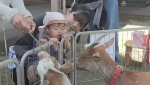 群馬サファリの動物たちと親子の触れ合い　群馬・高崎市