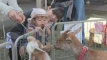 群馬サファリの動物たちと親子の触れ合い　群馬・高崎市