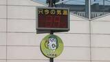 「１０地点でことしの最高気温　熱中症の疑いで群馬・板倉町の男性死亡」の画像1