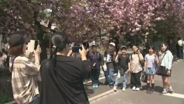 満開の八重桜と武者行列楽しむ　群馬・渋川市　白井宿