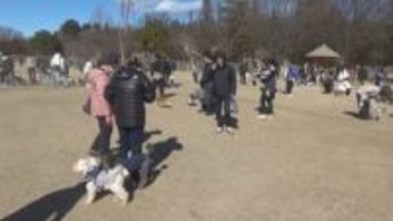 八王子山公園　ドッグラン施設がオープン　群馬・太田市