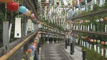 宝徳寺　涼を感じる　３７００個の風鈴　群馬・桐生市
