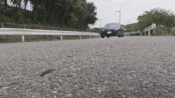 車と衝突　原付バイクの６４歳男性が死亡　群馬・高崎市