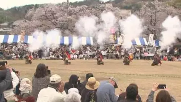 城下町小幡さくら祭り　桜と華やかな歴史絵巻楽しむ　群馬・甘楽町