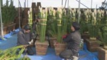 群馬・前橋市の造園業　正月用の門松づくり急ピッチ