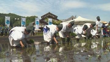 昔ながらの田植え　児童が体験　群馬・川場村