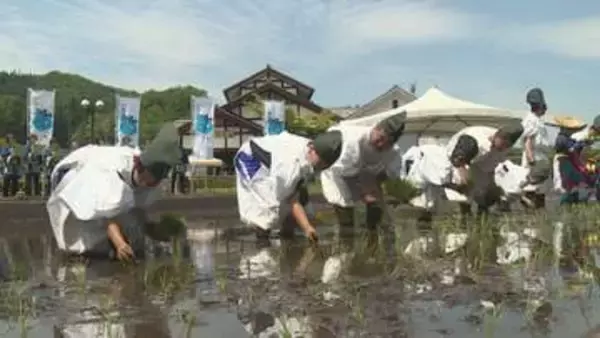 昔ながらの田植え　児童が体験　群馬・川場村