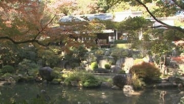 群馬・高崎市の観音山丘陵の斜面　日本庭園の紅葉が見頃