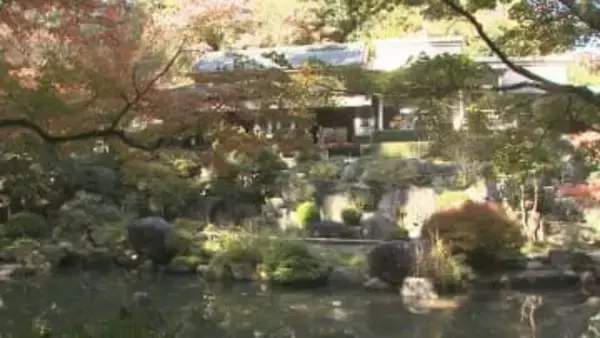 群馬・高崎市の観音山丘陵の斜面　日本庭園の紅葉が見頃