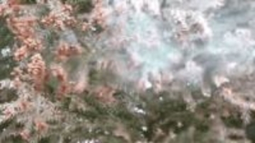 花粉症の発症割合　群馬県は６番目の高さ