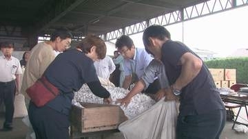 「春繭」の荷受け作業始まる　　群馬・富岡市