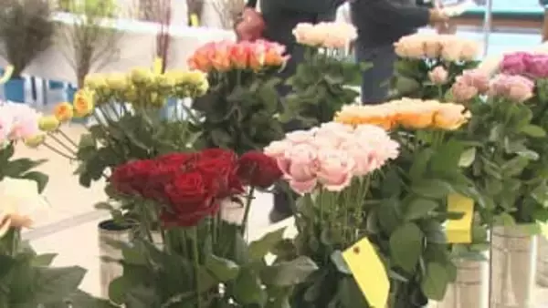 群馬・前橋市内の花生産者が栽培　バラなど１２９点並ぶ