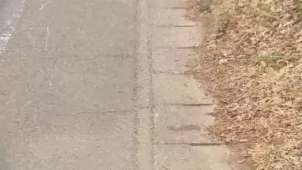 群馬・伊勢崎市で７９歳の男性死亡　ひき逃げの疑いで２５歳男を逮捕