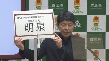 群馬県育成のナシの新品種　名称は「明泉」に
